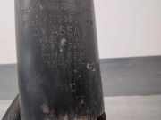 Achsschenkel Halter Links Vorne 31216882599 BMW X3 (G01) SUV xDrive 20d 2.0 TwinPower 16V Mild Hybrid (B47-D20B)