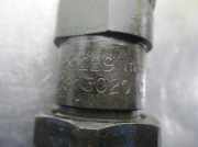 Kraftstoff-Injector 0281302010 Seat Inca (6K9) Van 1.9 D (1Y)