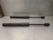 Gasdruckfeder Set Vorne 51237419387 BMW 3 serie (G20) Limousine 320d 2.0 TwinPower Turbo 16V Mild Hybrid (B47-D20B)