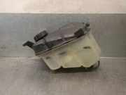 Radiator 253104A110 Hyundai H-1/H-200 Van 2.5 CRDi Powervan (D4CB)