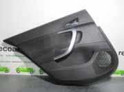 Türverkleidung Links Hinten 13327699 Opel INSIGNIA BERLINA 2.0 CDTI CAT