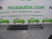 Gasdruckfedern Set Hinten 817701B000 Hyundai Santa Fe II (CM) SUV 2.2 CRDi 16V 4x4 (D4EB)