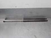 Gasdruckfedern Set Hinten 9630662480 Peugeot 406 (8B) Limousine 2.0 HDi 110 (DW10ATED(RHZ))