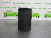 Schlauch 1205100813 Citroën C-Crosser SUV 2.2 HDiF 16V (DW12METED4(4HK))