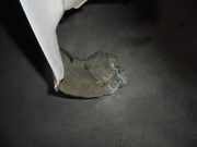 Kotfl?gel Links Vorne 1M0821021 Seat Leon (1M1) Schr?gheck 5-drs 1.9 TDI 110 (ASV)