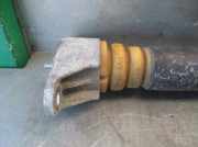 Stoßdämpfer Links Hinten 170405A Mazda 3 (BM/BN) Limousine 2.0 SkyActiv-G 120 16V (PE)