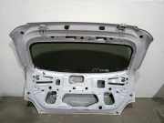 Stoßstange Vorne 620220007R Renault KASTEN 2.3 dCi Diesel CAT