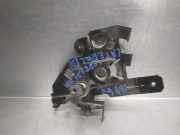 Türgriff Innen Rechts Hinten 8200004828C Nissan (X..) 2.0 dCi Diesel