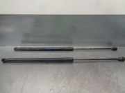 Scharniere 7068074 BMW X5 (E70) SUV 3.0d 24V (M57N2-D30(306D3))