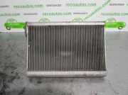 Klima Verdampfer 08J06B2285 Citroën CITROËN PICASSO 2.0 HDi FAP CAT (RHR / DW10BTED4)