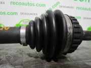 Gasdruckfedern Set Hinten 60604823 Alfa Romeo 146 (930B) Schrägheck 5-drs 1.9 JTD (AR32.302)