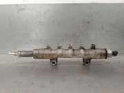 Einspritzdüsen Düsenstock 1570P1 Peugeot BOXER Caja/Chasis 2.2 HDi 100