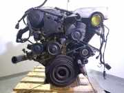 Stoßdämpfer Links Hinten 562102144R Dacia Sandero III Schrägheck 1.0 TCe 90 12V (H4D-470(H4D-E4))