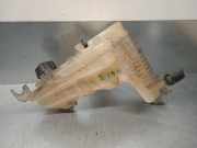 Ausgleichbehälter - 217100014R Renault Laguna III (BT) Schrägheck 5-drs 1.5 dCi 110 (K9K-846(K9K-R8))