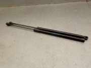 Gasdruckfedern Set Hinten A4479800564 Mercedes-Benz V (447.8) Großraumlimousine 2.1 220 CDI, 220 d 16V (OM651.950(Euro 5)
