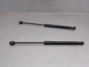 Gasdruckfeder Set Vorne 51327148346 BMW X6 (E71/E72) SUV xDrive40d 3.0 24V (N57-D30B)