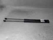 Gasdruckfedern Set Hinten J03174 Renault SCÉNIC I Monospace (JA0/1_, FA0_) 1.9 dCi (JA05, JA1F)