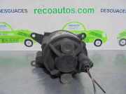 Nebelscheinwerfer Rechts Vorne 8D0941700B Audi A4 BERLINA (B5) 1.9 TDI