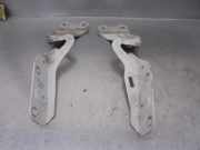 Motorhaubescharnier 8200343122 Renault Twingo II (CN) Schrägheck 3-drs 1.5 dCi 75 FAP (K9K-P820(Euro 5))