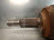 Innenbeleuchtung 735354549 Fiat Panda (169) Schrägheck 1.2 Fire (188.A.4000)