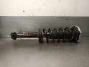 Stoßdämpfer Links Hinten 33506871801 BMW X3 (G01) SUV xDrive 20d 2.0 TwinPower 16V Mild Hybrid (B47-D20B)