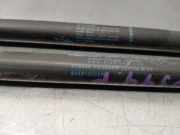 Gasdruckfedern Set Hinten 904510002R Renault Megane III Coupe (DZ) Schrägheck 3-drs 1.9 dCi (F9Q-872(F9Q-P8))