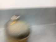 Ausgleichbehälter - 7701470464 Nissan Autobús (X70) dCi 115