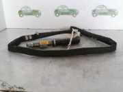 Vorhang Airbag Links VOOR 8200130500 Renault SCENIC II Luxe Privilege