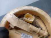 Tankschwimmer 7190944 BMW X1 (E84) SUV sDrive 18d 2.0 16V (N47-D20C)