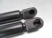 Gasdruckfeder Set Vorne ALR5884 Land + Range Rover Range Rover II Geländewagen 2.5 DT,DSE (25-6T)