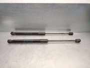 Gasdruckfeder Set Vorne 51239883421 BMW X1 (U11) SUV sDrive 18d 2.0 16V (B47-C20B)