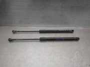 Gasdruckfedern Set Hinten 51247060622 BMW 1 serie (E87/87N) Schrägheck 5-drs 118i 16V (N43-B20A)