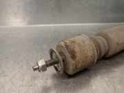 Stoßdämpfer Rechts Hinten E6210EM20A Nissan Tiida (C11X) Schrägheck 1.5 dCi (K9K)