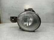Nebelscheinwerfer Rechts Vorne 63176924656 BMW (E70) 3.0 sd
