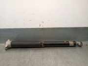 Stoßdämpfer Links Hinten L1TC18080DG Ford Puma SUV 1.0 Ti-VCT EcoBoost mHEV 12V (B7JB)