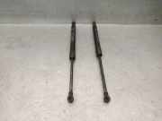 Gasdruckfeder Set Vorne 51923979 Fiat 500L (199) Großraumlimousine 1.3 D 16V Multijet Euro 5 (199.B.4000)