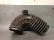Schlauch 13718513961 BMW 1 serie (F20) SchrÃ¤gheck 5-drs 116d 1.5 12V TwinPower (B37-D15A)