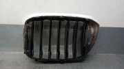 Grill 51137478670 BMW X3 (G01) SUV xDrive 20d 2.0 TwinPower 16V Mild Hybrid (B47-D20B)