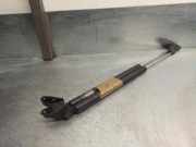 Gasdruckfedern Set Hinten 9K19C1 Mazda 5 (CR19) Großraumlimousine 2.0 CiDT 16V High Power (MZR-CD)