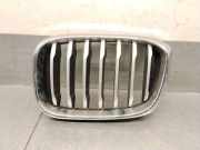 Grill 51137478670 BMW X3 (G01) SUV sDrive 18d 2.0 TwinPower Turbo 16V (B47-D20A)