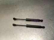 Gasdruckfeder Set Vorne 654707388R Renault ZOE (BFM_) ZOE