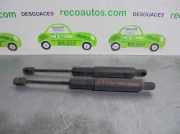 Gasdruckfeder Set Vorne 2218800329 Mercedes-Benz S (W221) Limousine 5.5 S-550 32V (M273.961)