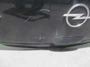 Gasdruckfedern Set Hinten 8E9827552G Audi A4 Avant (B7) Kombi 2.0 TDI 16V (BLB)