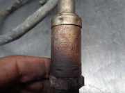 Radiator 13167338 Opel C Station Wagon (Z02) 1.9 CDTI (F35)