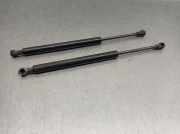Gasdruckfedern Set Hinten 51248254281 BMW 3 serie (E46/4) Limousine 318i 16V (N42-B20A)