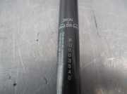 Gasdruckfedern Set Hinten PU003540 Fiat Punto I (176) Schr?gheck GT 1.4 Turbo (176.B.6000)