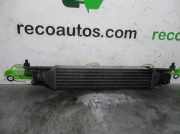 Ladeluftkühler 55700449 Fiat Grande Punto (199) Schrägheck 1.3 JTD Multijet 16V VGT (199.A.3000)