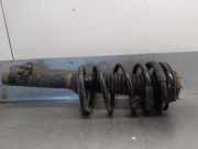 Stoßdämpfer Links Vorne YC1518045SD Ford Caja/Chasis (FM_ _, FN_ _) 2.4 TDCi