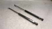 Gasdruckfedern Set Hinten 51247129194 BMW 3 serie (E92) Coupé 320d 16V (N47-D20C)