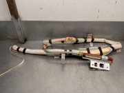 Vorhang Airbag Links VOOR PYCB80666067325 Nissan Murano (Z50) SUV 3.5 V6 24V 4x4 (VQ35DE)